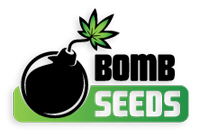 Bomb Seeds Bomb Seeds